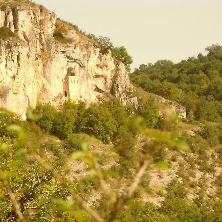 Le Nid Vert *