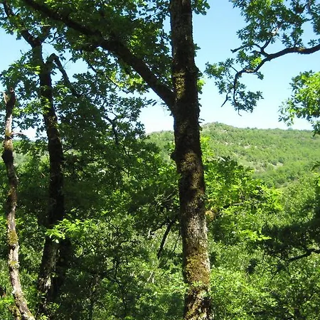 Lyxtält Le Nid Vert Brengues